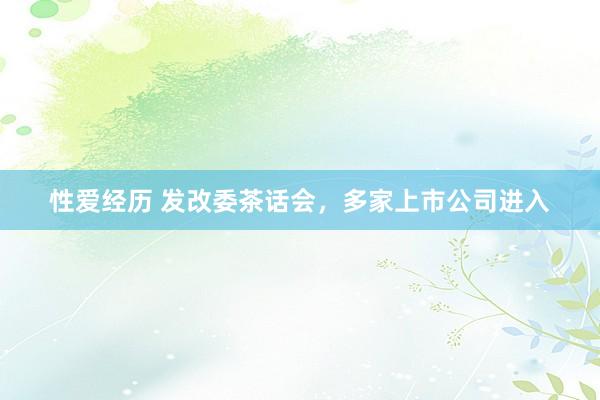 性爱经历 发改委茶话会，多家上市公司进入