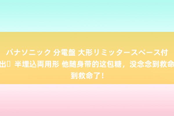パナソニック 分電盤 大形リミッタースペース付 露出・半埋込両用形 他随身带的这包糖，没念念到救命了！