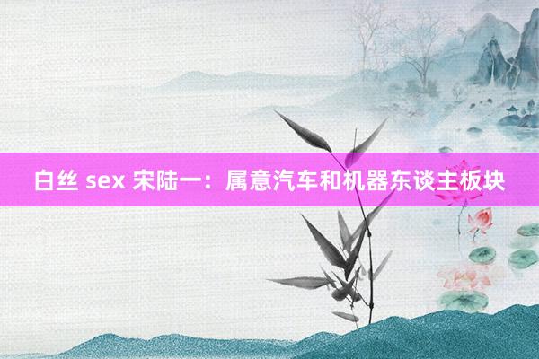 白丝 sex 宋陆一:属意汽车和机器东谈主板块
