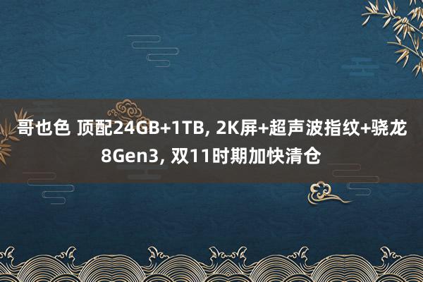 哥也色 顶配24GB+1TB， 2K屏+超声波指纹+骁龙8Gen3， 双11时期加快清仓
