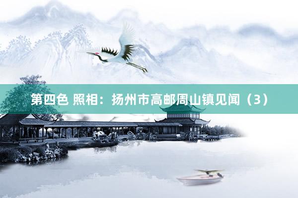 第四色 照相：扬州市高邮周山镇见闻（3）