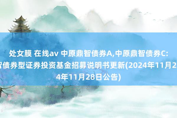 处女膜 在线av 中原鼎智债券A,中原鼎智债券C: 中原鼎智债券型证券投资基金招募说明书更新(2024年11月28日公告)