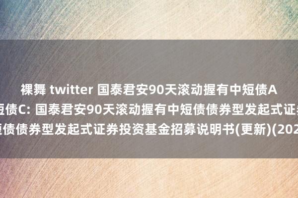 裸舞 twitter 国泰君安90天滚动握有中短债A,国泰君安90天滚动握有中短债C: 国泰君安90天滚动握有中短债债券型发起式证券投资基金招募说明书(更新)(2024年第1号)