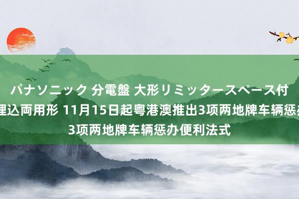 パナソニック 分電盤 大形リミッタースペース付 露出・半埋込両用形 11月15日起粤港澳推出3项两地牌车辆惩办便利法式