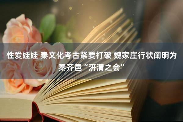 性爱娃娃 秦文化考古紧要打破 魏家崖行状阐明为秦齐邑“汧渭之会”