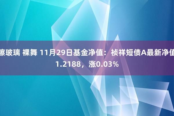 擦玻璃 裸舞 11月29日基金净值：祯祥短债A最新净值1.2188，涨0.03%