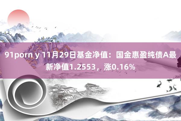 91porn y 11月29日基金净值：国金惠盈纯债A最新净值1.2553，涨0.16%