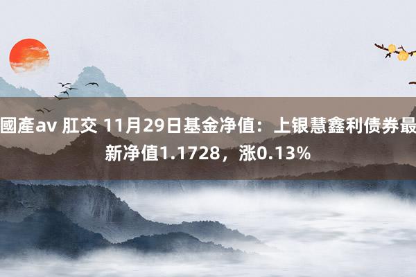 國產av 肛交 11月29日基金净值：上银慧鑫利债券最新净值1.1728，涨0.13%