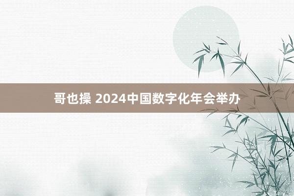 哥也操 2024中国数字化年会举办