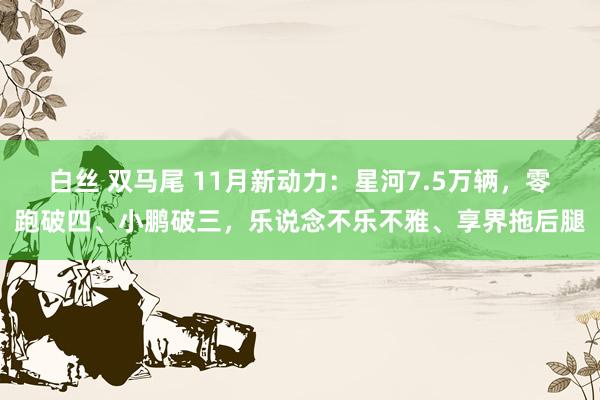 白丝 双马尾 11月新动力：星河7.5万辆，零跑破四、小鹏破三，乐说念不乐不雅、享界拖后腿