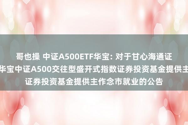 哥也操 中证A500ETF华宝: 对于甘心海通证券股份有限公司为华宝中证A500交往型盛开式指数证券投资基金提供主作念市就业的公告