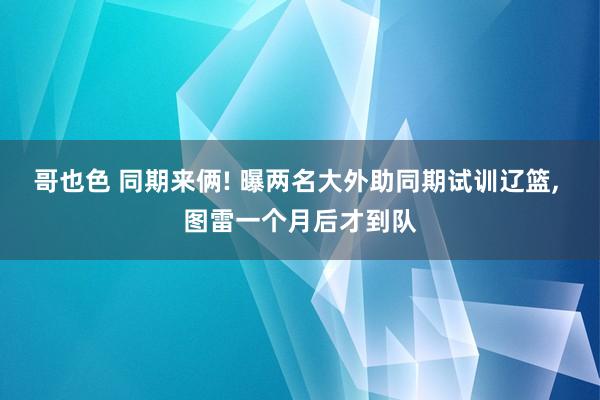 哥也色 同期来俩! 曝两名大外助同期试训辽篮， 图雷一个月后才到队