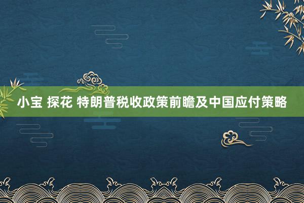 小宝 探花 特朗普税收政策前瞻及中国应付策略