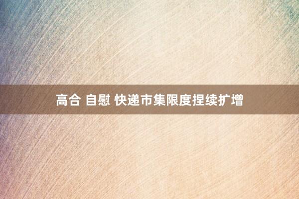高合 自慰 快递市集限度捏续扩增