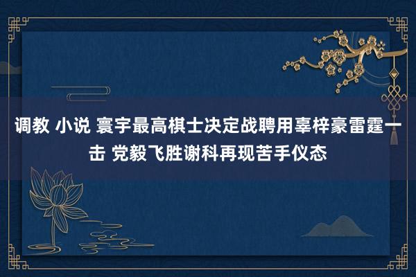 调教 小说 寰宇最高棋士决定战聘用辜梓豪雷霆一击 党毅飞胜谢科再现苦手仪态
