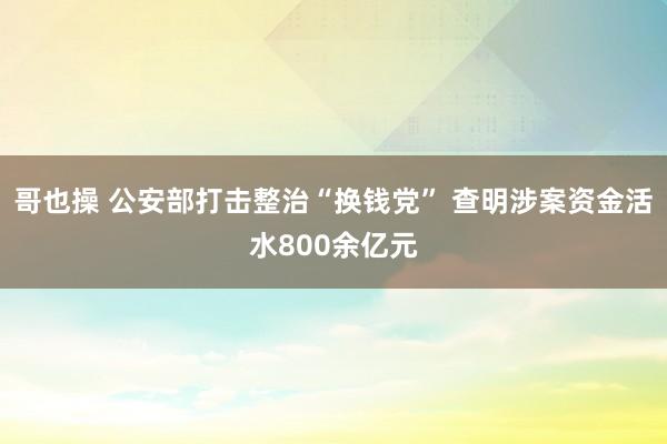 哥也操 公安部打击整治“换钱党” 查明涉案资金活水800余亿元