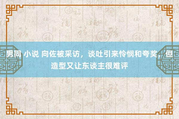 男同 小说 向佐被采访，谈吐引来怜悯和夸奖，但造型又让东谈主很难评