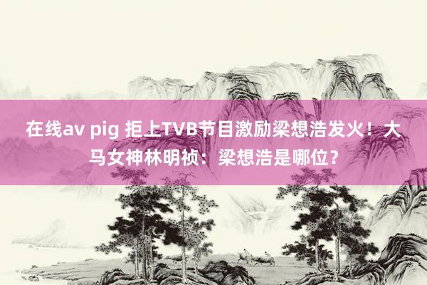 在线av pig 拒上TVB节目激励梁想浩发火！大马女神林明祯：梁想浩是哪位？