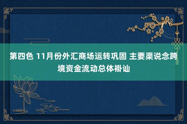 第四色 11月份外汇商场运转巩固 主要渠说念跨境资金流动总体褂讪