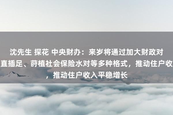 沈先生 探花 中央财办：来岁将通过加大财政对终局阔绰径直插足、莳植社会保险水对等多种格式，推动住户收入平稳增长