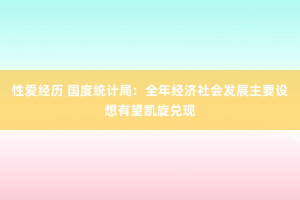 性爱经历 国度统计局：全年经济社会发展主要设想有望凯旋兑现