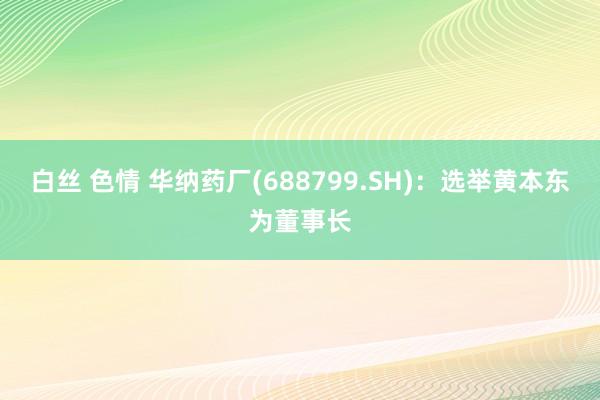 白丝 色情 华纳药厂(688799.SH)：选举黄本东为董事长
