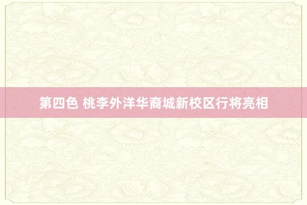 第四色 桃李外洋华裔城新校区行将亮相