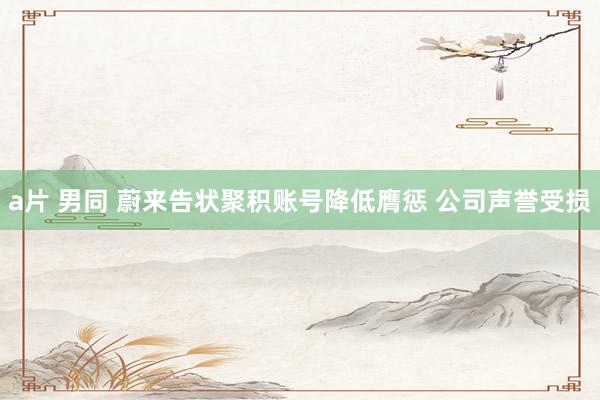a片 男同 蔚来告状聚积账号降低膺惩 公司声誉受损