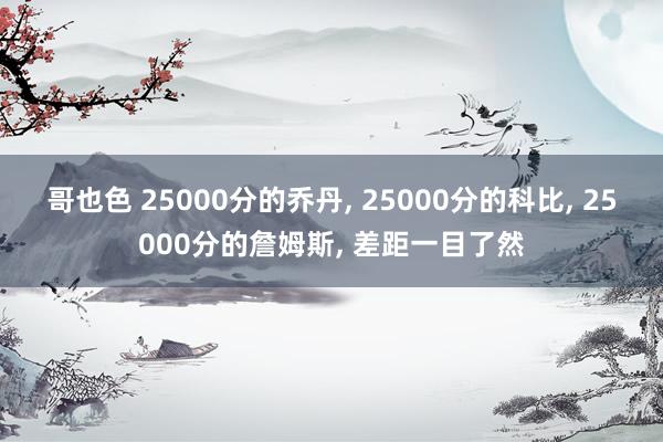 哥也色 25000分的乔丹， 25000分的科比， 25000分的詹姆斯， 差距一目了然