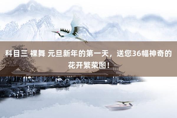 科目三 裸舞 元旦新年的第一天，送您36幅神奇的花开繁荣图！
