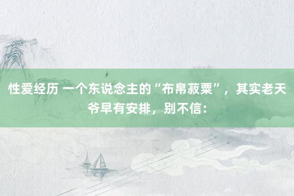 性爱经历 一个东说念主的“布帛菽粟”,其实老天爷早有安排,别不信: