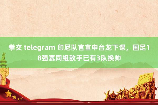 拳交 telegram 印尼队官宣申台龙下课，国足18强赛同组敌手已有3队换帅