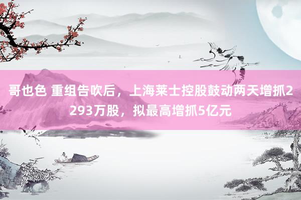 哥也色 重组告吹后，上海莱士控股鼓动两天增抓2293万股，拟最高增抓5亿元