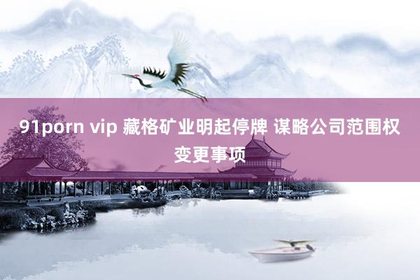 91porn vip 藏格矿业明起停牌 谋略公司范围权变更事项
