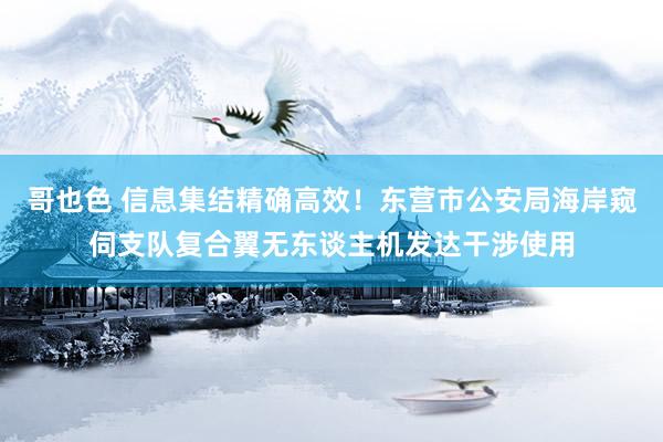 哥也色 信息集结精确高效！东营市公安局海岸窥伺支队复合翼无东谈主机发达干涉使用