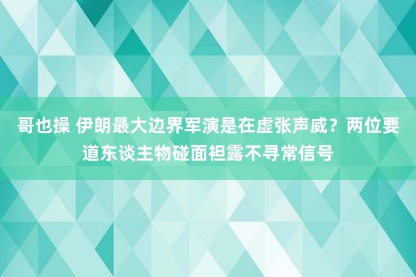 哥也操 伊朗最大边界军演是在虚张声威？两位要道东谈主物碰面袒露不寻常信号