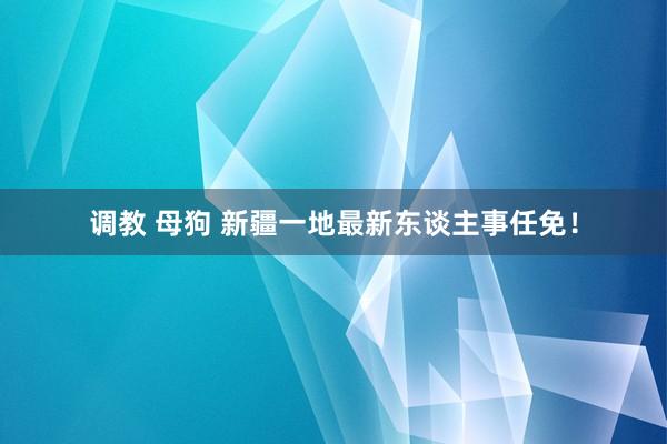 调教 母狗 新疆一地最新东谈主事任免！