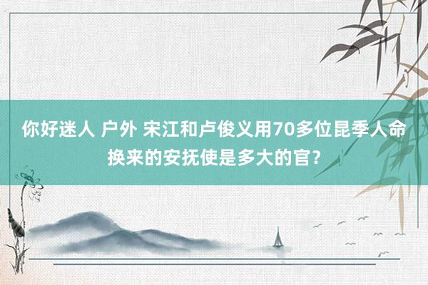 你好迷人 户外 宋江和卢俊义用70多位昆季人命换来的安抚使是多大的官？