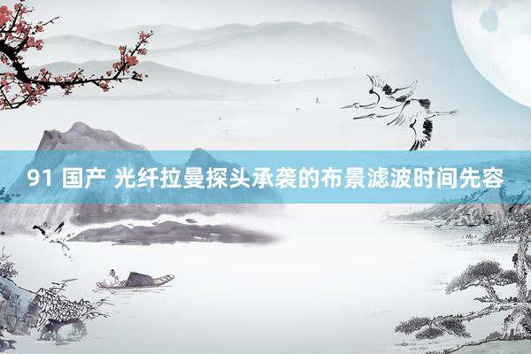 91 国产 光纤拉曼探头承袭的布景滤波时间先容