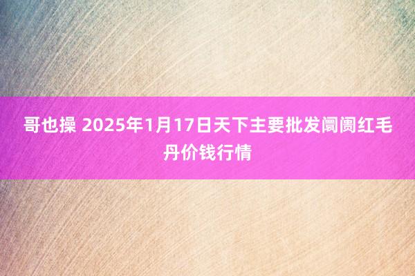 哥也操 2025年1月17日天下主要批发阛阓红毛丹价钱行情