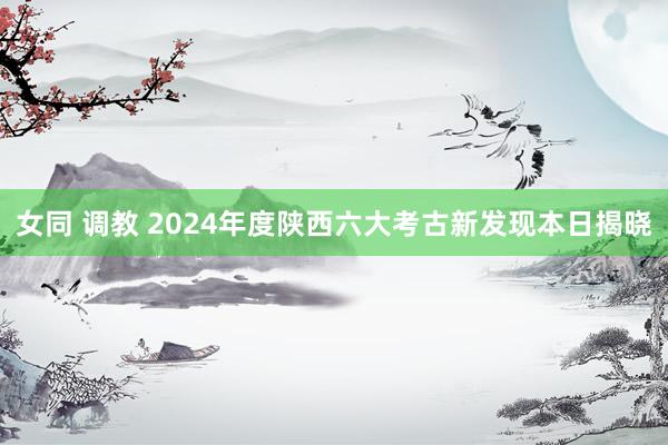 女同 调教 2024年度陕西六大考古新发现本日揭晓