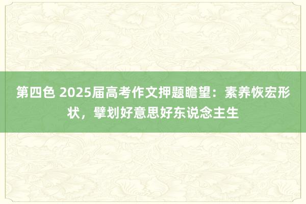 第四色 2025届高考作文押题瞻望：素养恢宏形状，擘划好意思好东说念主生