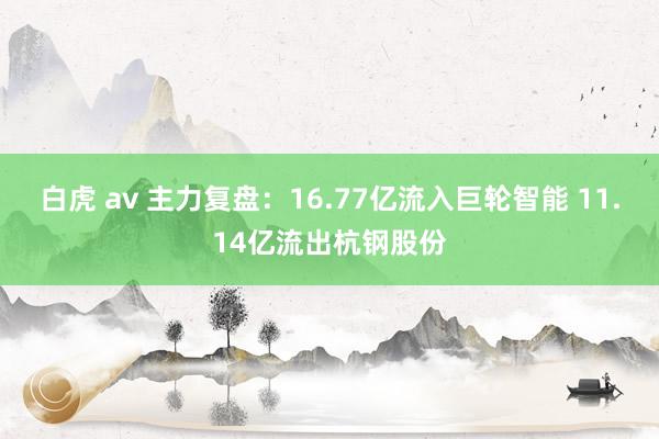白虎 av 主力复盘：16.77亿流入巨轮智能 11.14亿流出杭钢股份