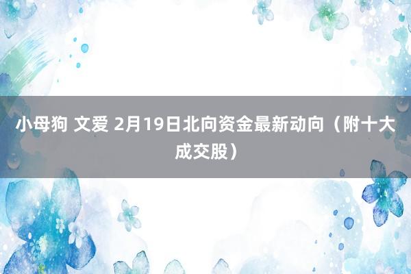 小母狗 文爱 2月19日北向资金最新动向（附十大成交股）