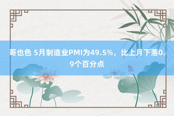 哥也色 5月制造业PMI为49.5%，比上月下落0.9个百分点