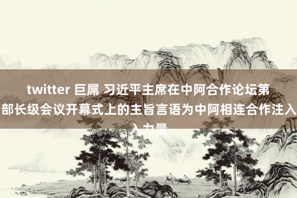 twitter 巨屌 习近平主席在中阿合作论坛第十届部长级会议开幕式上的主旨言语为中阿相连合作注入力量