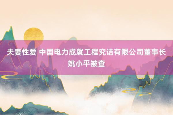 夫妻性爱 中国电力成就工程究诘有限公司董事长姚小平被查
