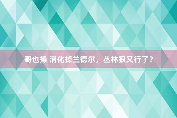哥也操 消化掉兰德尔，丛林狼又行了？