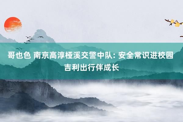 哥也色 南京高淳桠溪交警中队: 安全常识进校园 吉利出行伴成长
