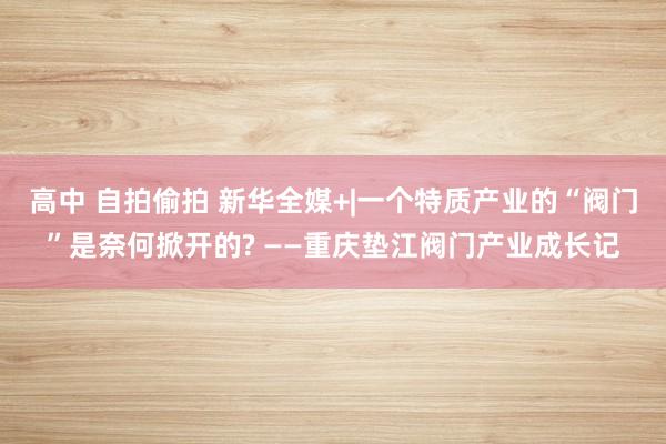 高中 自拍偷拍 新华全媒+|一个特质产业的“阀门”是奈何掀开的? ——重庆垫江阀门产业成长记